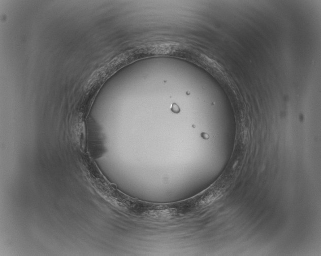 X0000056000307200509021711