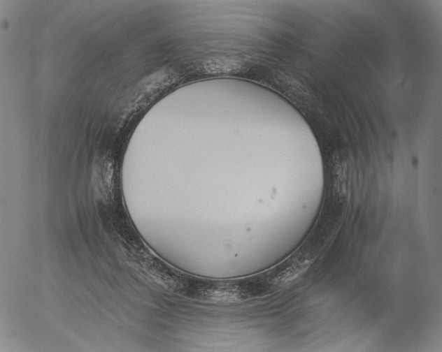 X0000056000308200509021711