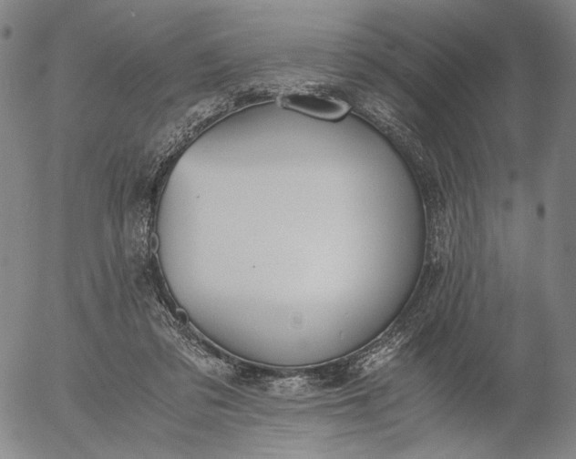 X0000056000309200509021711