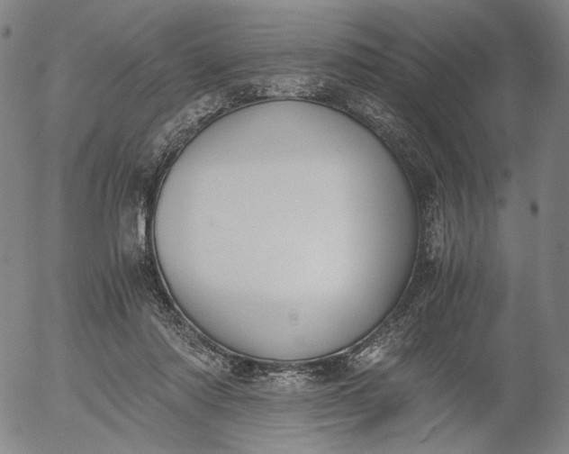 X0000056000310200509021711