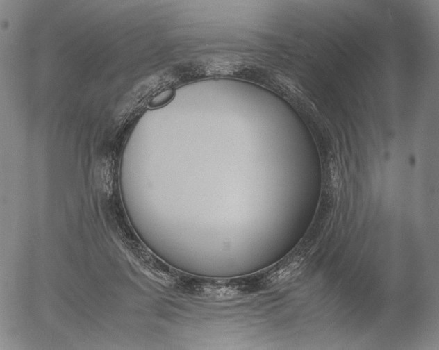 X0000056000311200509021711