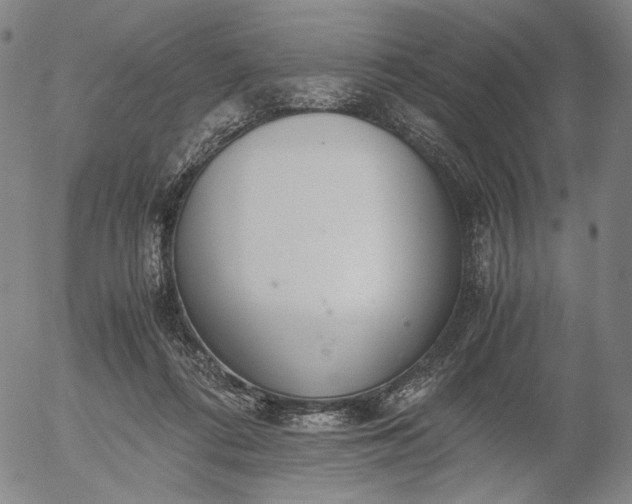 X0000056000312200509021711