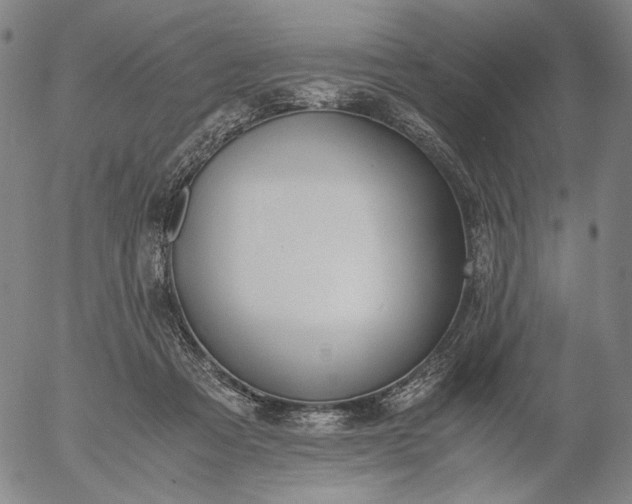 X0000056000313200509021711