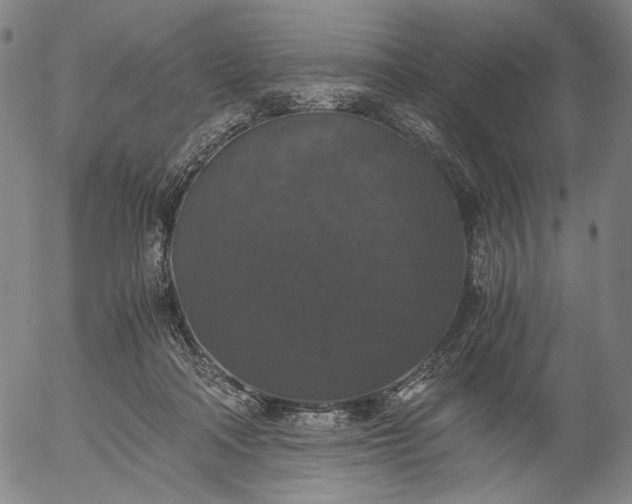 X0000056000314200509021711