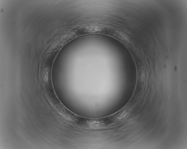 X0000056000315200509021711