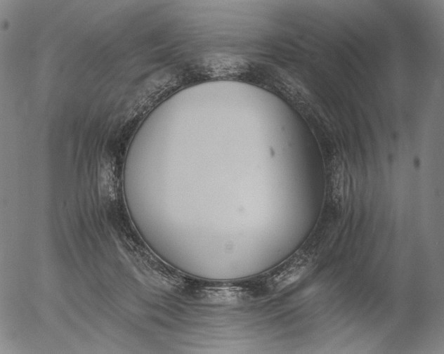 X0000056000316200509021711