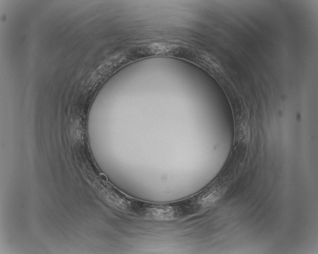 X0000056000317200509021711