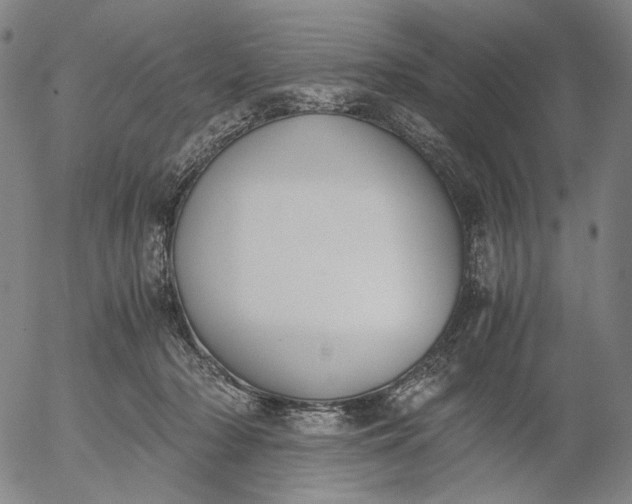 X0000056000318200509021711