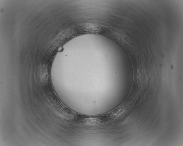 X0000056000320200509021711