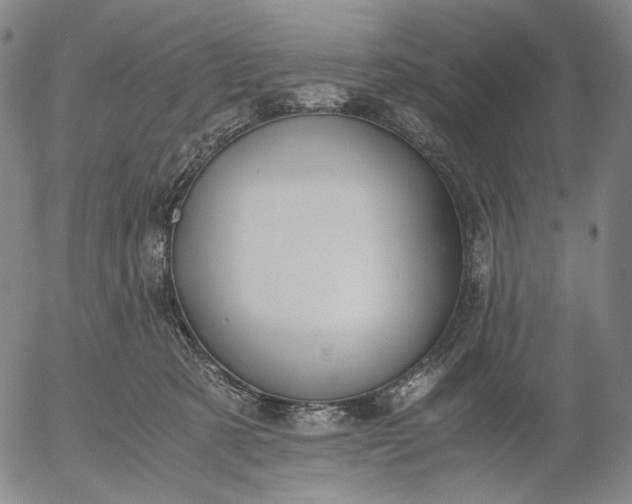 X0000056000321200509021711