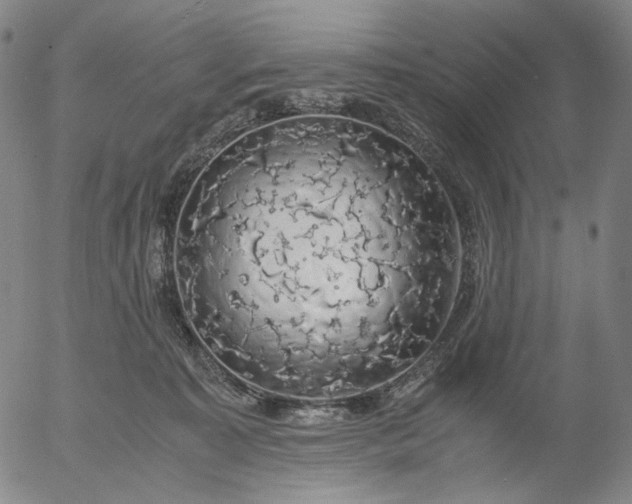 X0000056000323200509021710