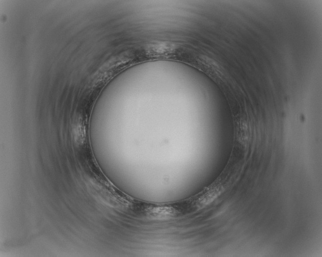 X0000056000324200509021710