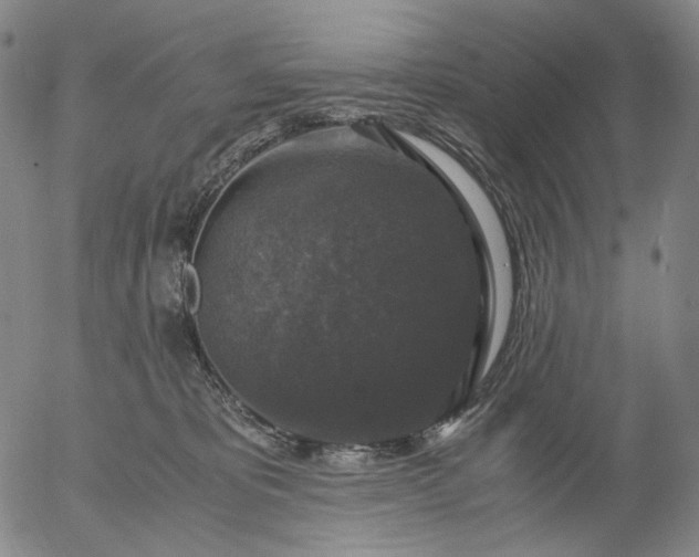 X0000056000325200509021710