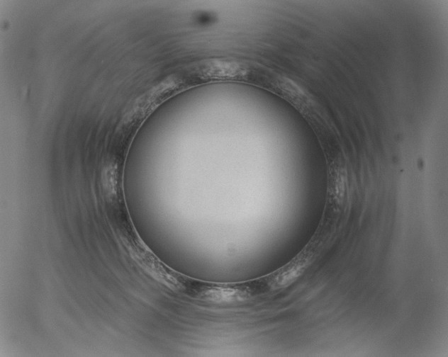 X0000056000326200509021710