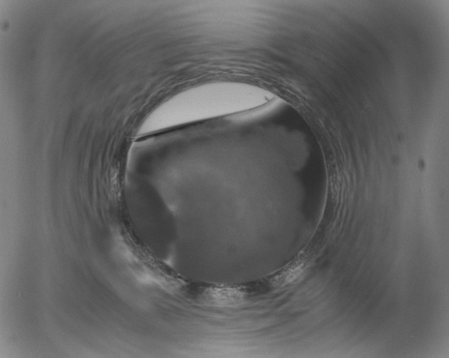 X0000056000327200509021710