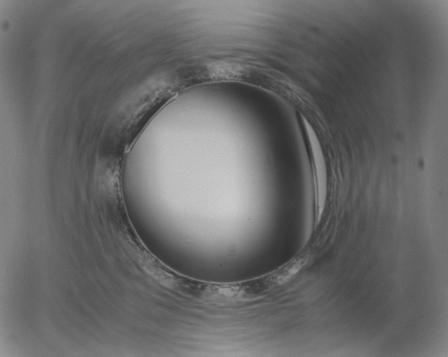 X0000056000329200509021710