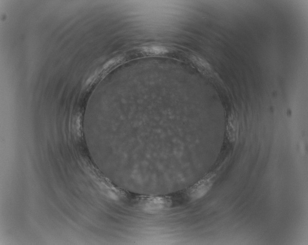 X0000056000330200509021710