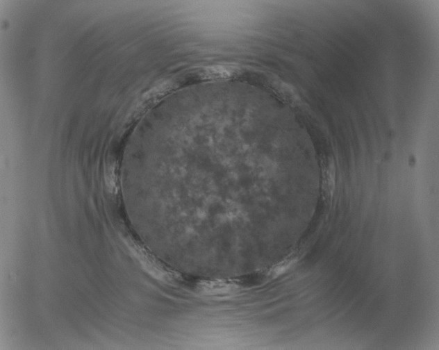 X0000056000331200509021710