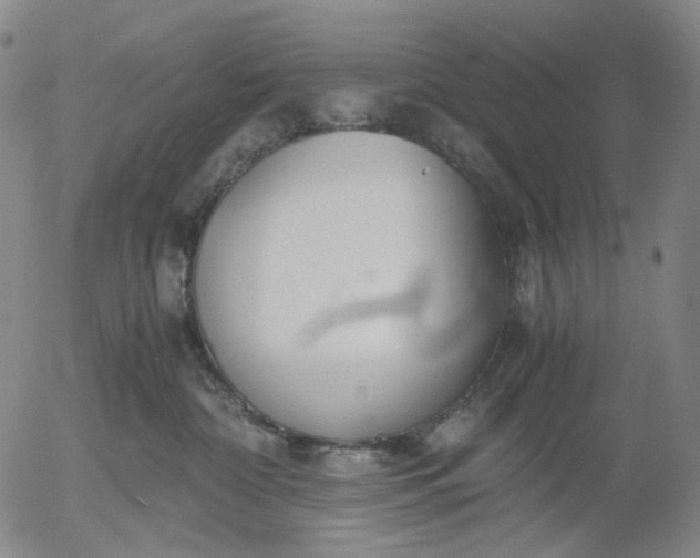 X0000056000332200509021710