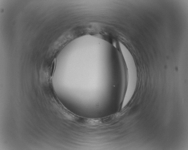 X0000056000333200509021710