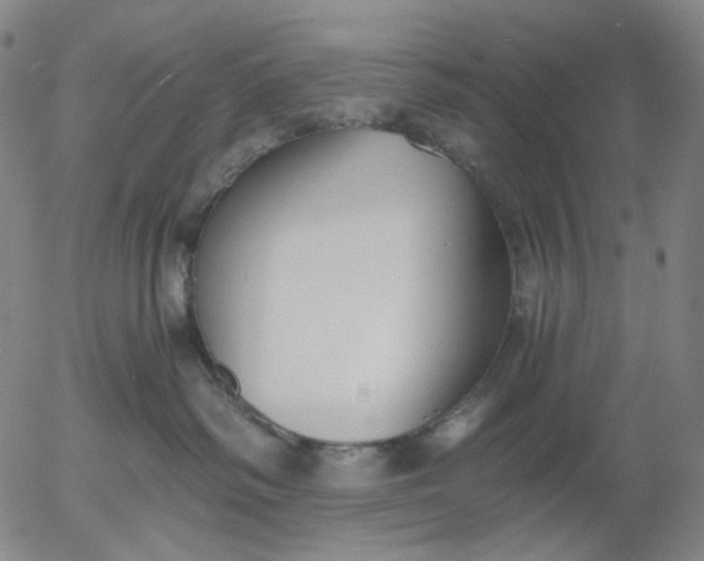 X0000056000334200509021710