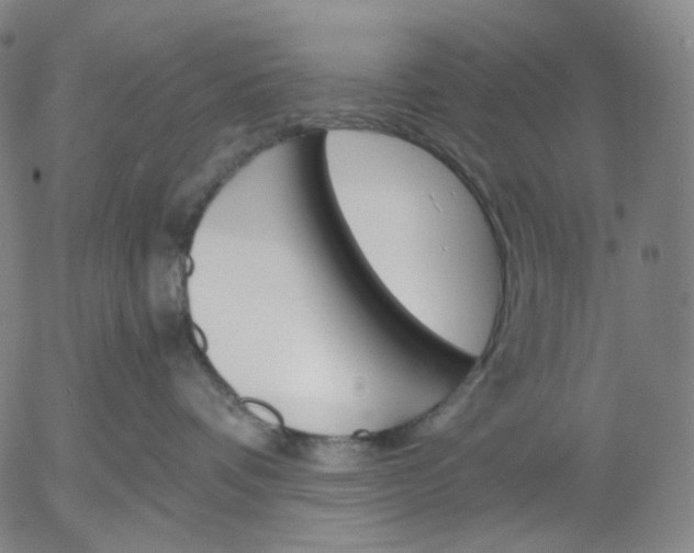 X0000056000336200509021710