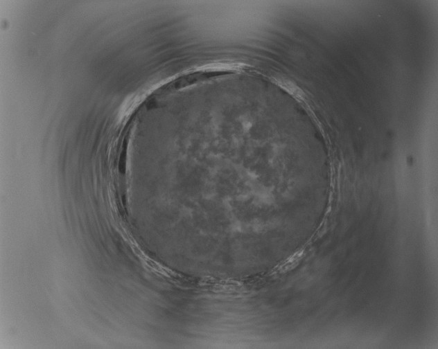 X0000056000337200509021709