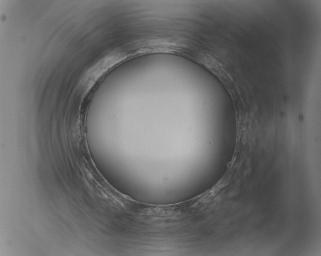 X0000056000338200509021709