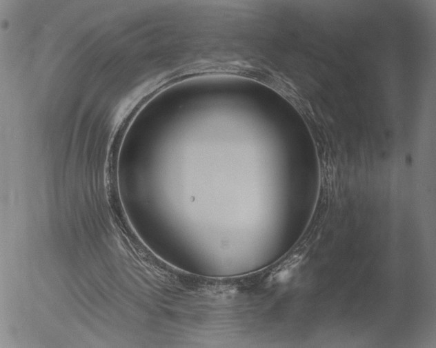 X0000056000340200509021710