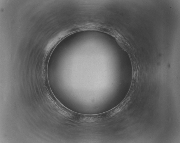 X0000056000341200509021710