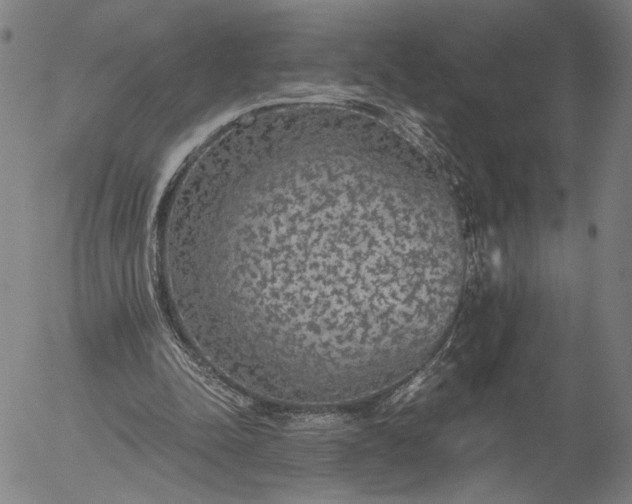 X0000056000342200509021710