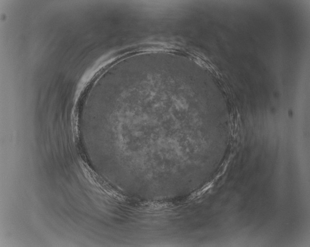 X0000056000343200509021710