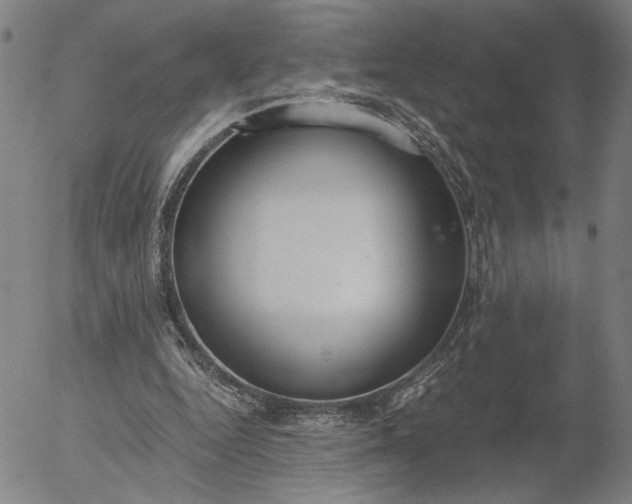 X0000056000344200509021710