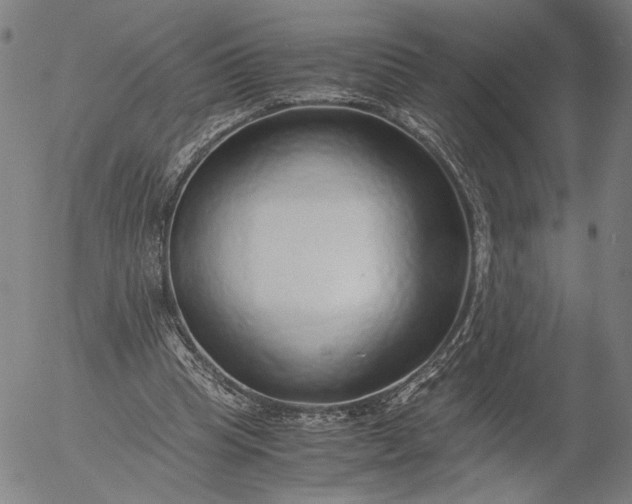 X0000056000345200509021710