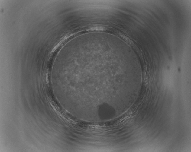 X0000056000347200509021710