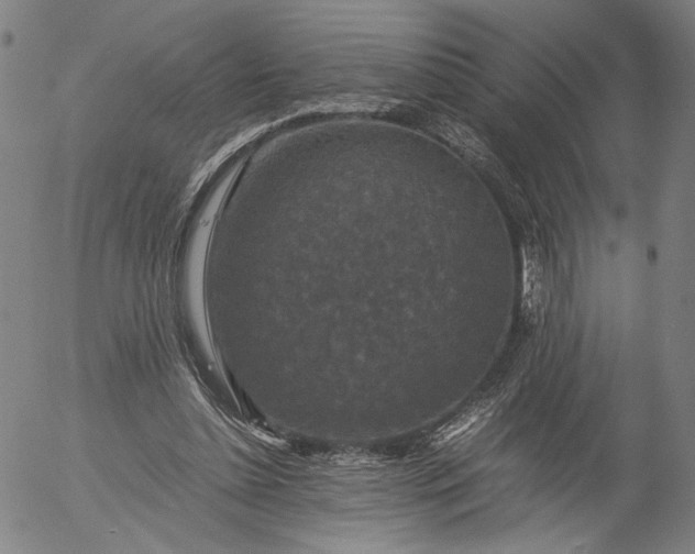 X0000056000348200509021710