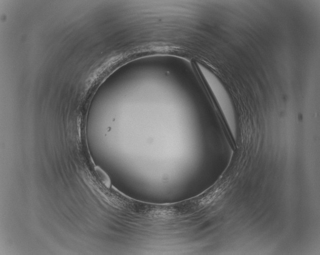 X0000056000350200509021710