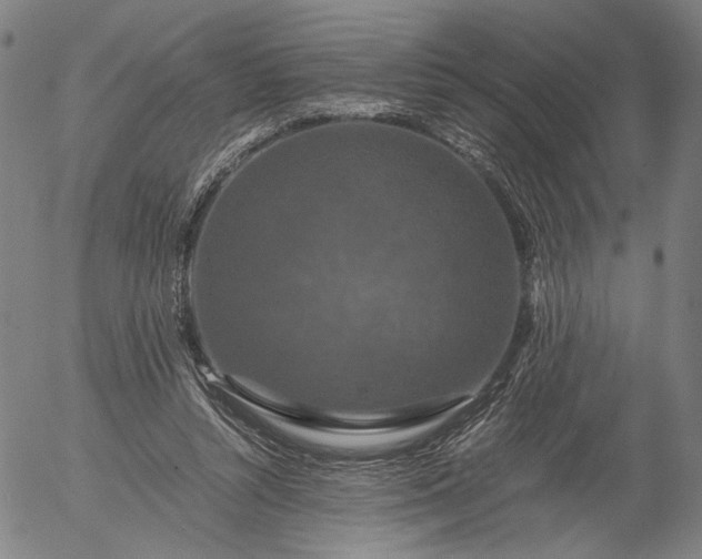 X0000056000352200509021710