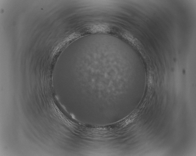 X0000056000353200509021710