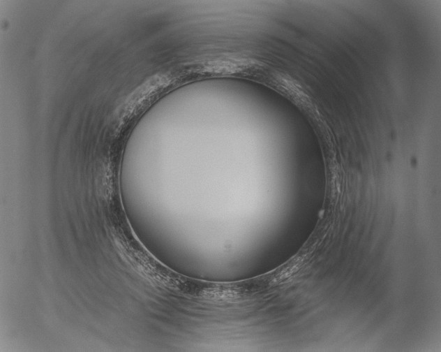 X0000056000354200509021710