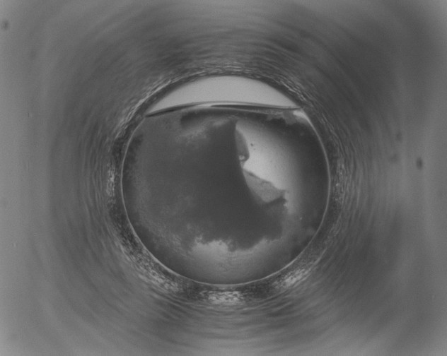 X0000056000355200509021710