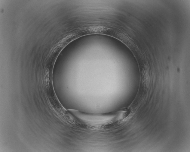 X0000056000356200509021710