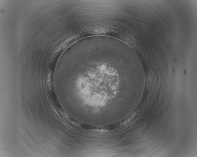 X0000056000360200509021710