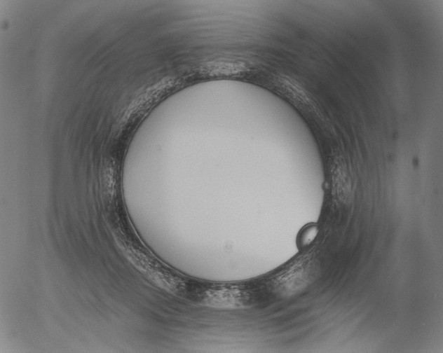 X0000056000362200509021710