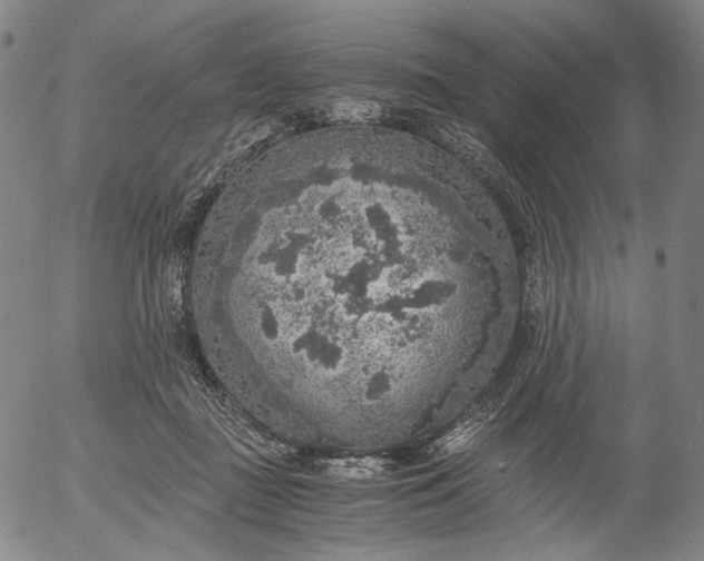 X0000056000363200509021710