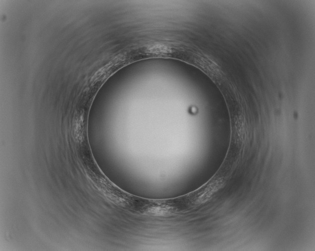 X0000056000364200509021710