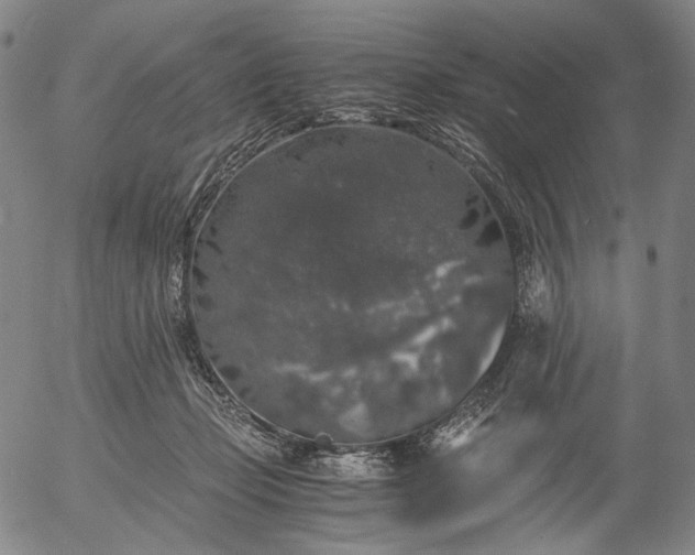 X0000056000365200509021710