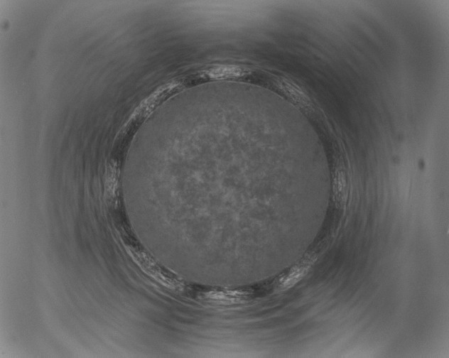 X0000056000367200509021710