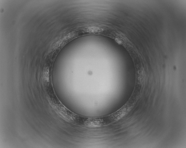 X0000056000368200509021710