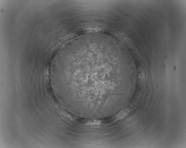 X0000056000369200509021710